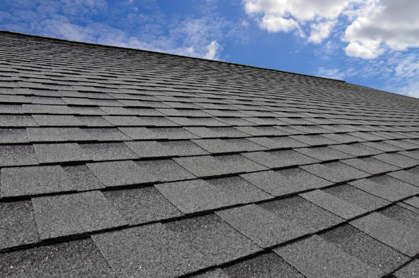 Best Roof Maintenance and Cleaning  in North Merritt Island, FL